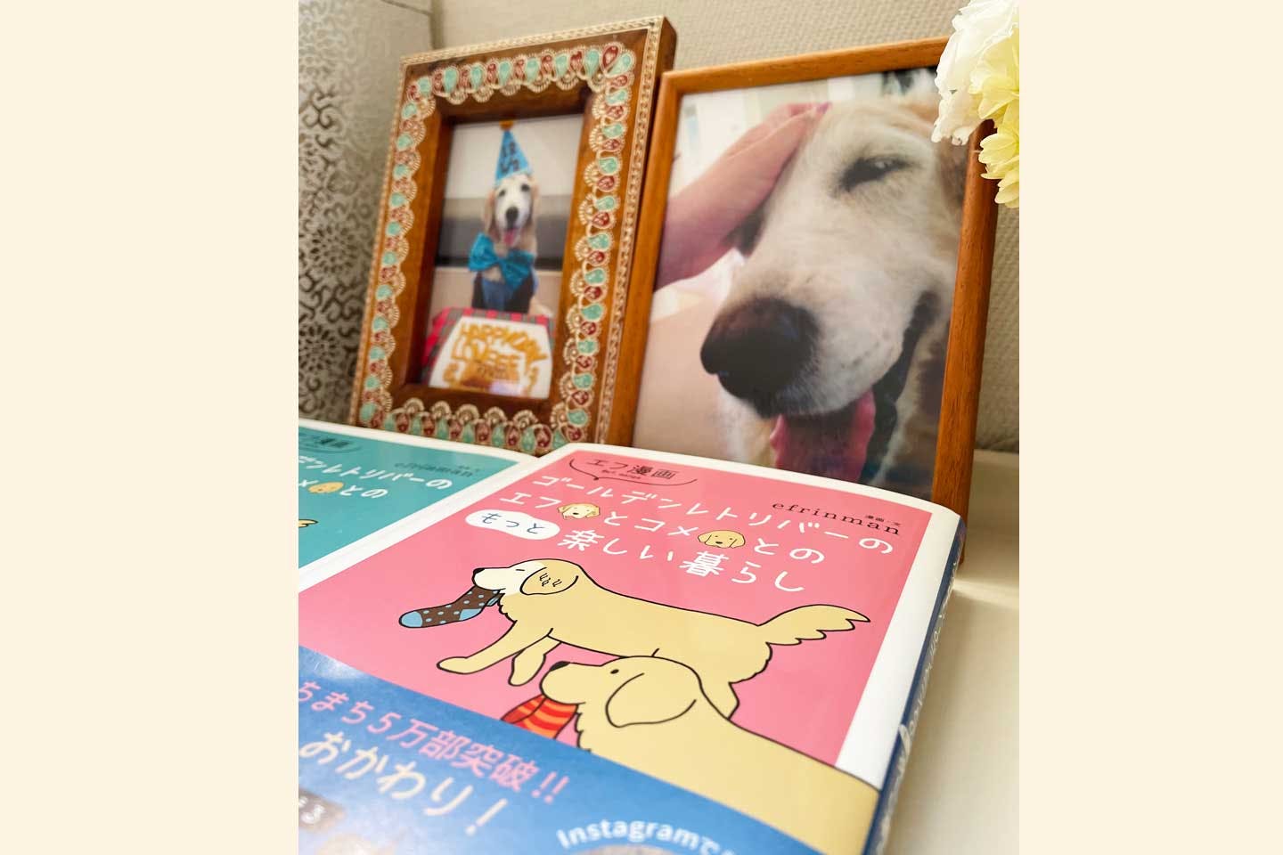 ペットロスを経験したからこそ。誰かの背中を押せる漫画を描きたい ペットロスを経験したからこそ。誰かの背中を押せる漫画を描きたい