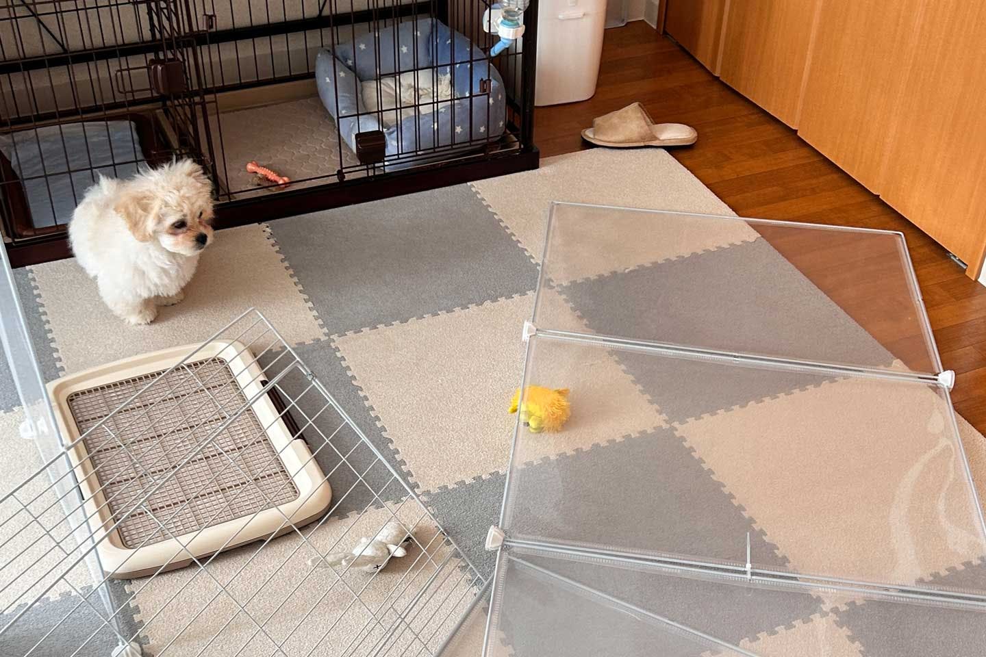 サークルを壊した愛犬ぼのくん サークルを壊した愛犬ぼのくん