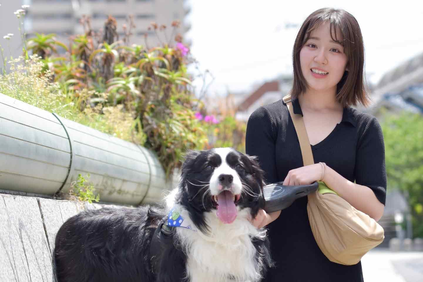 犬と一緒に、、。(ボーダーコリー) - 羊毛フェルト