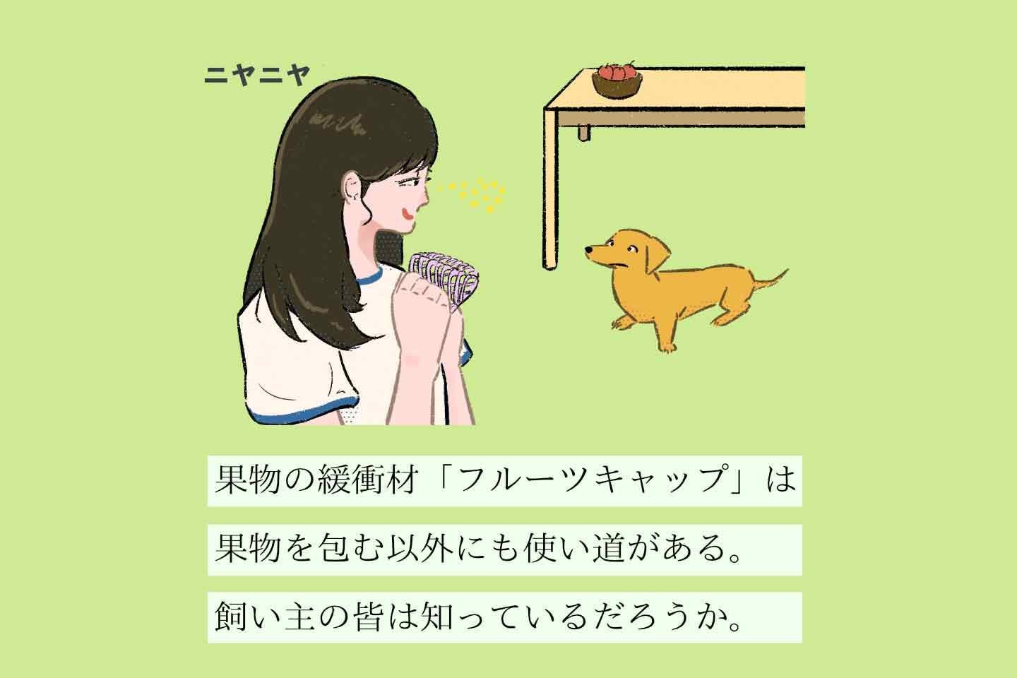 フルーツキャップカブセヌシの生態《変な飼いヌシ図鑑041》