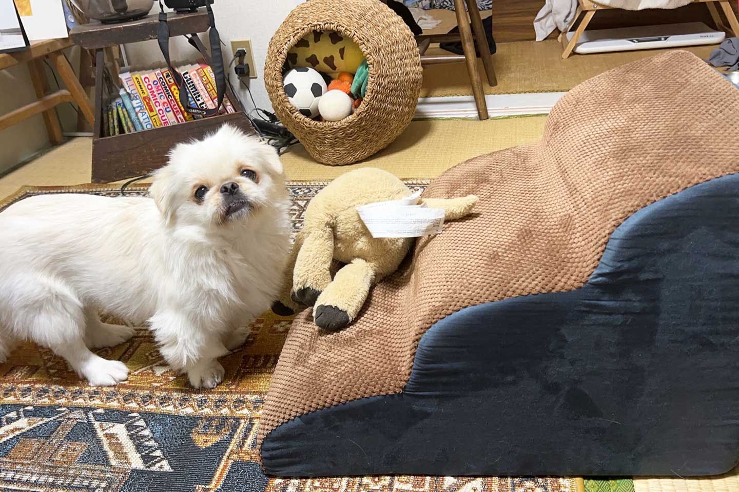 愛犬ムーチョの足腰への負担を考慮し、犬用ステップを購入 愛犬ムーチョの足腰への負担を考慮し、犬用ステップを購入