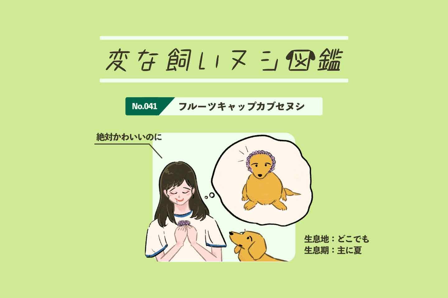 【変な飼いヌシ図鑑No.041】 果物を保護するアレを見ると愛犬につけたくなる飼い主『フルーツキャップカブセヌシ』