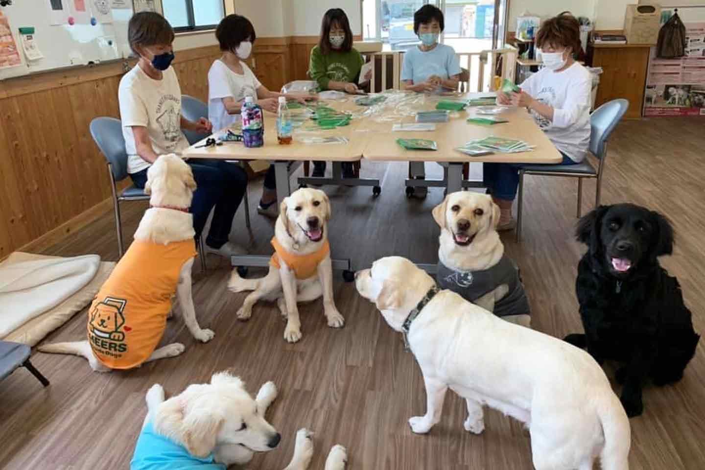 『日本サービスドッグ協会』　ボランティアの方々の活動