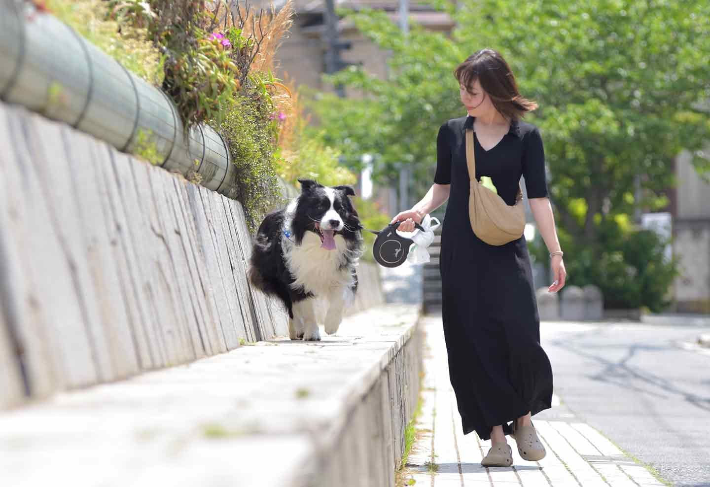 散歩・ドッグラン・川遊び…愛犬中心の日常