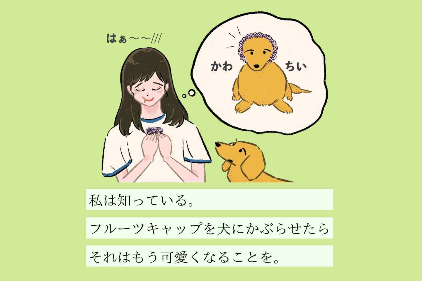 フルーツキャップカブセヌシの生態《変な飼いヌシ図鑑041》