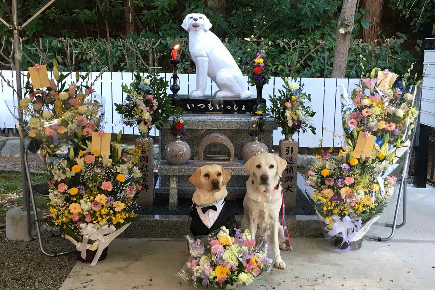 日本サービスドッグの活動 引退補助犬慰霊碑 日本サービスドッグの活動 引退補助犬慰霊碑
