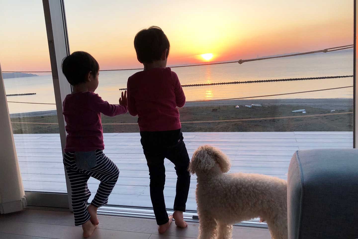 近藤正純ロバートさんの2人の息子さんとトイプードルのJINAN坊くん 近藤正純ロバートさんの2人の息子さんとトイプードルのJINAN坊くん