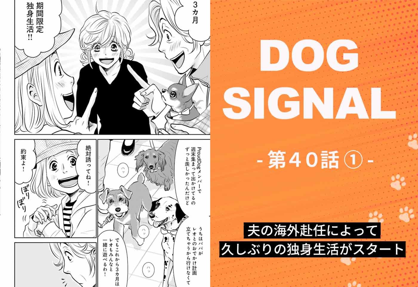 DOG SIGNAL（ドッグシグナル）』40話目1/4 愛犬とふたりっきりの生活|ワンクォール