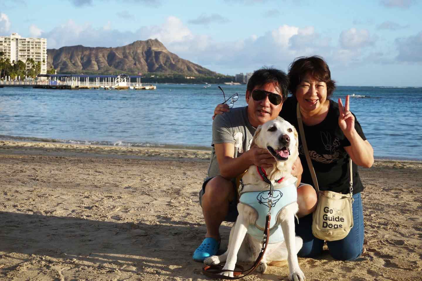 盲導犬サファイアと一緒に行ったハワイ旅行