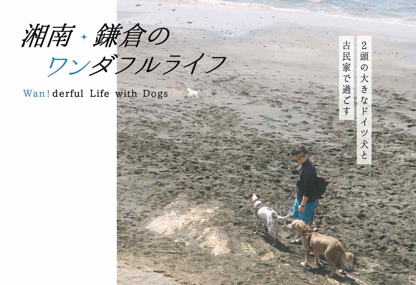 2頭の大きなドイツ犬と古民家で過ごす、湘南・鎌倉のワンダフルライフ