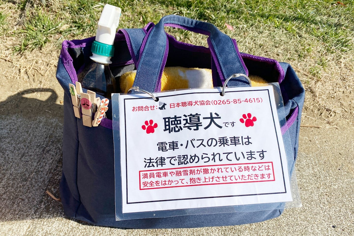 聴導犬は一見すると普通のペットに見えることもあるため、カードをつけたバッグを持つようにお願いしています。