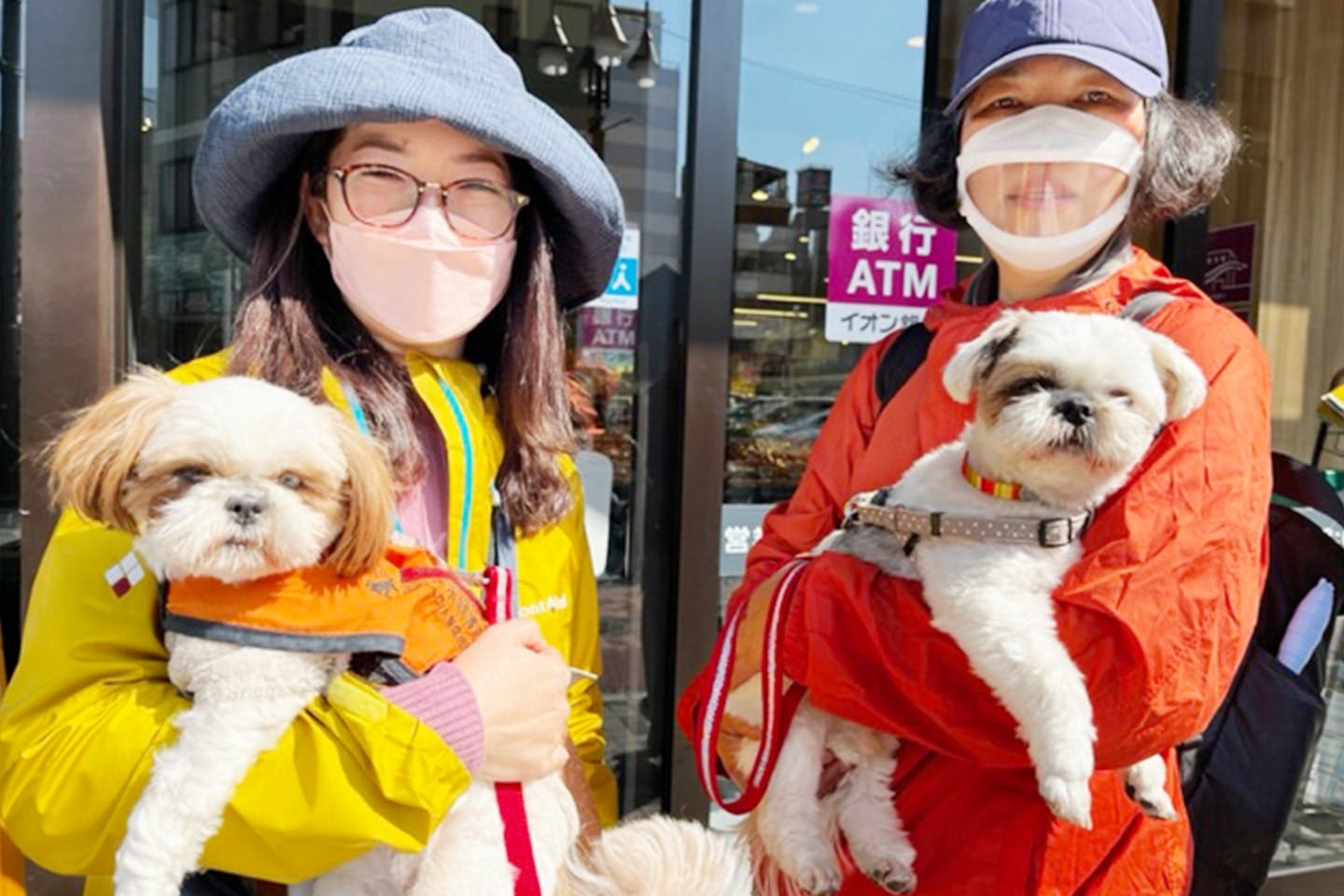 候補犬のかなちゃんとユーザー希望者さん（左）。候補犬のいずみ君とスタッフのまゆみさん（右）。ただいま試験に向け猛特訓中です（日本聴導犬協会提供）