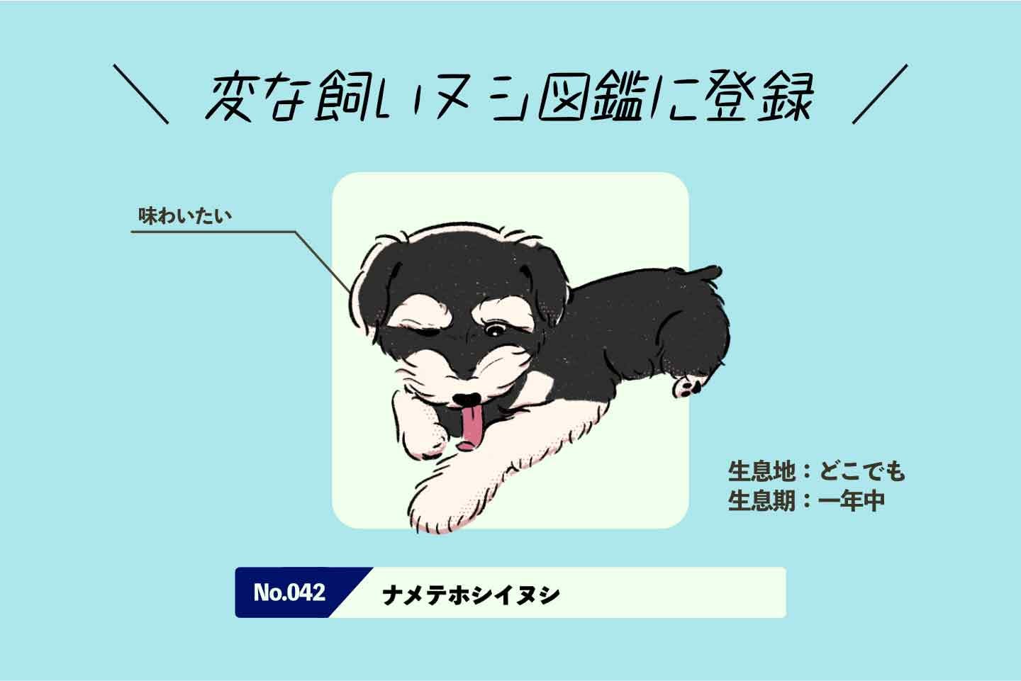 ナメテホシイヌシの生態《変な飼いヌシ図鑑042》 ナメテホシイヌシの生態《変な飼いヌシ図鑑042》