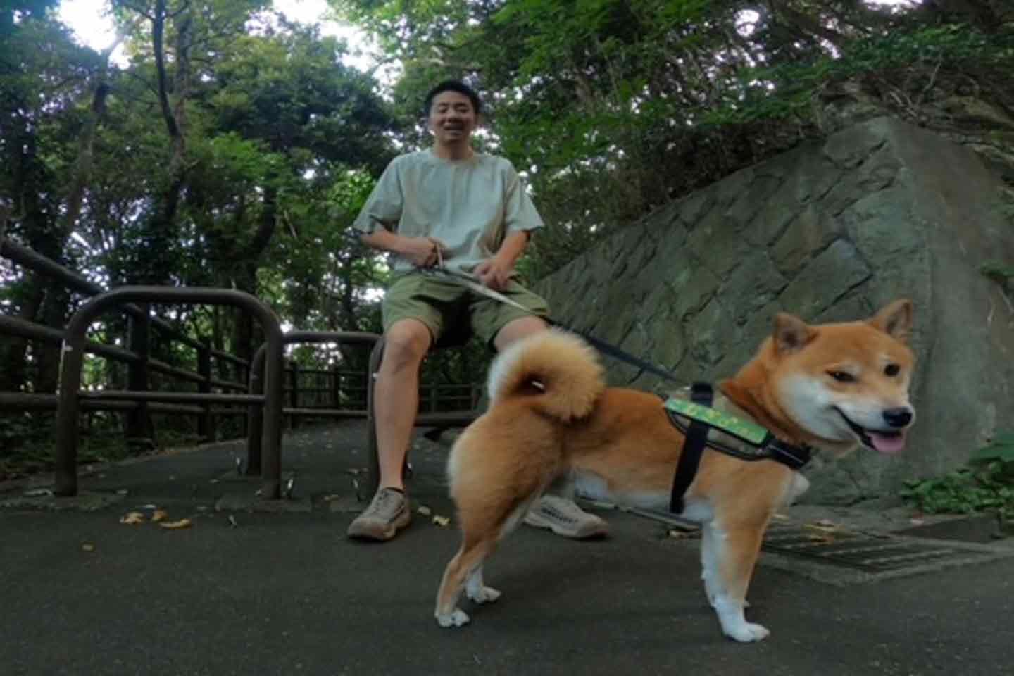 愛犬との散歩が日課のあるじさん