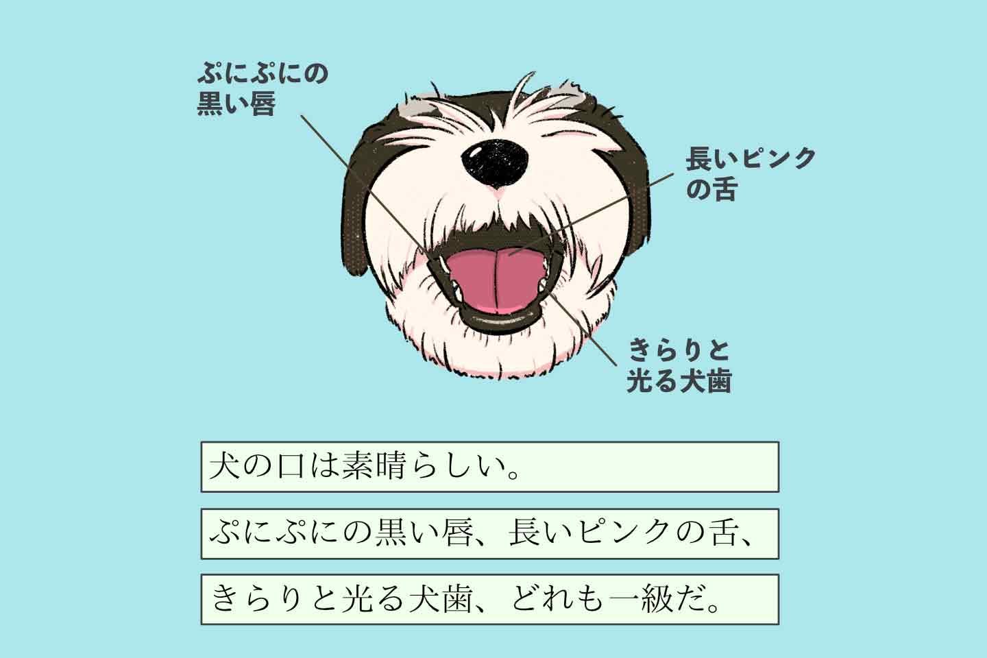 ナメテホシイヌシの生態《変な飼いヌシ図鑑042》 ナメテホシイヌシの生態《変な飼いヌシ図鑑042》