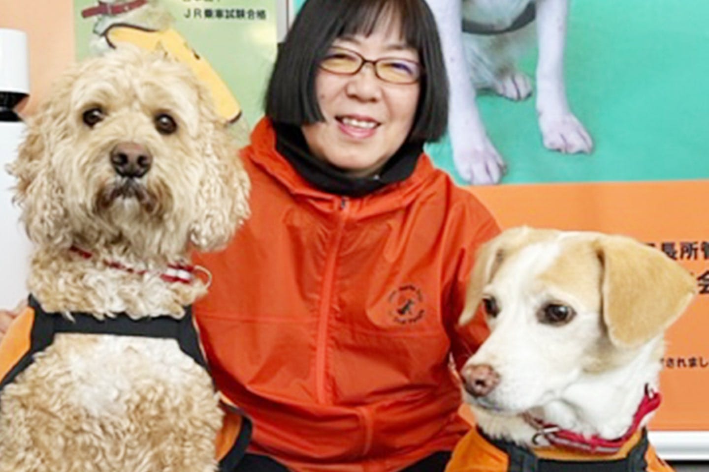 保護犬から「聴導犬」に！  犬の才能を障がい支援に活かす日本聴導犬協会の取り組み