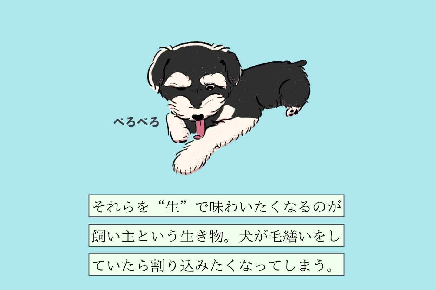 ナメテホシイヌシの生態《変な飼いヌシ図鑑042》 ナメテホシイヌシの生態《変な飼いヌシ図鑑042》