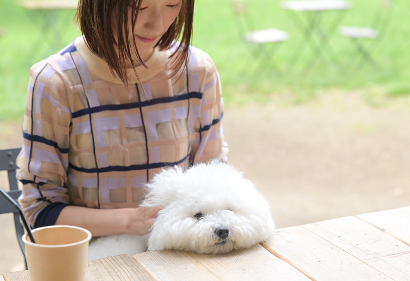 月ちゃんは大切な家族の一員」子育てをしながら送るワンちゃんとの