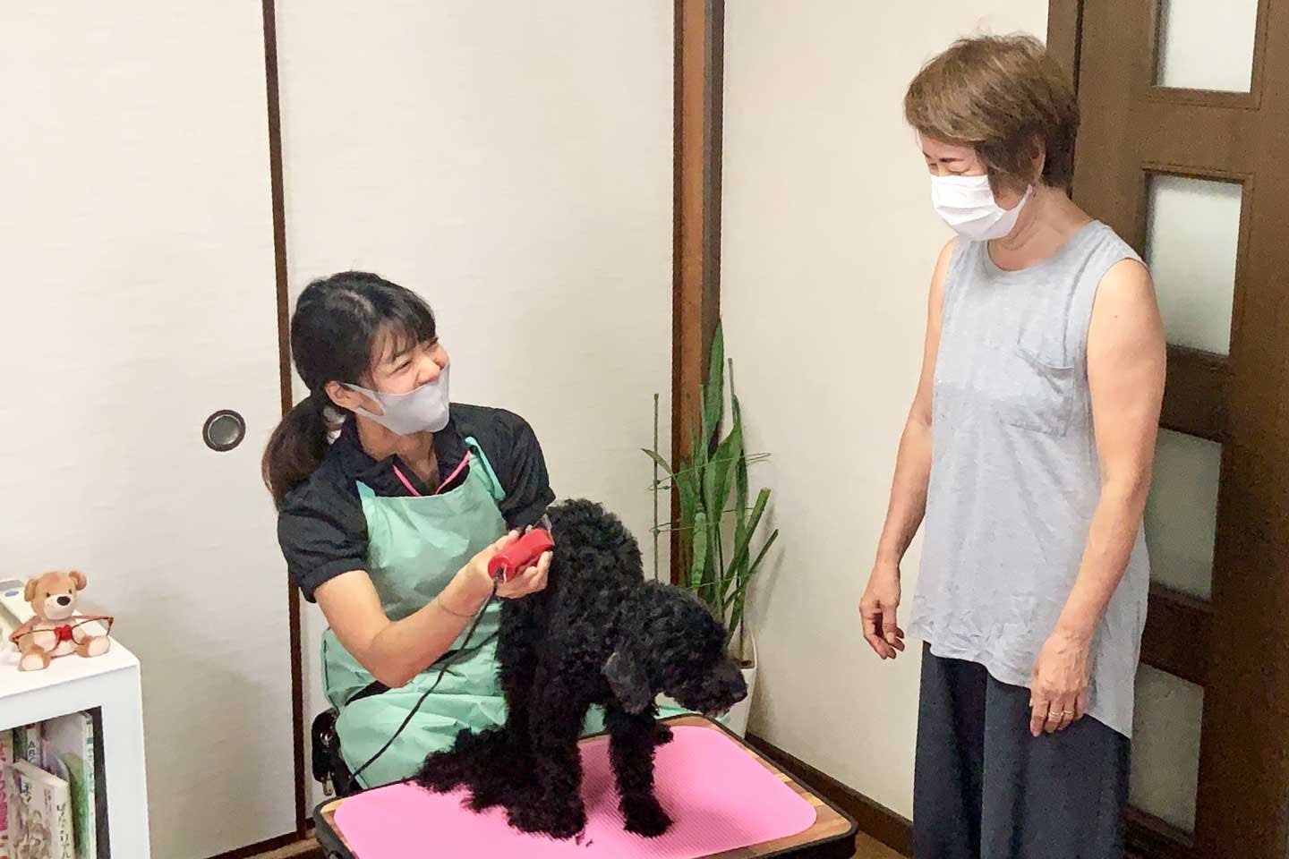 急成長中の自宅出張専門トリミングサービス『ホームトリマー』 急成長中の自宅出張専門トリミングサービス『ホームトリマー』