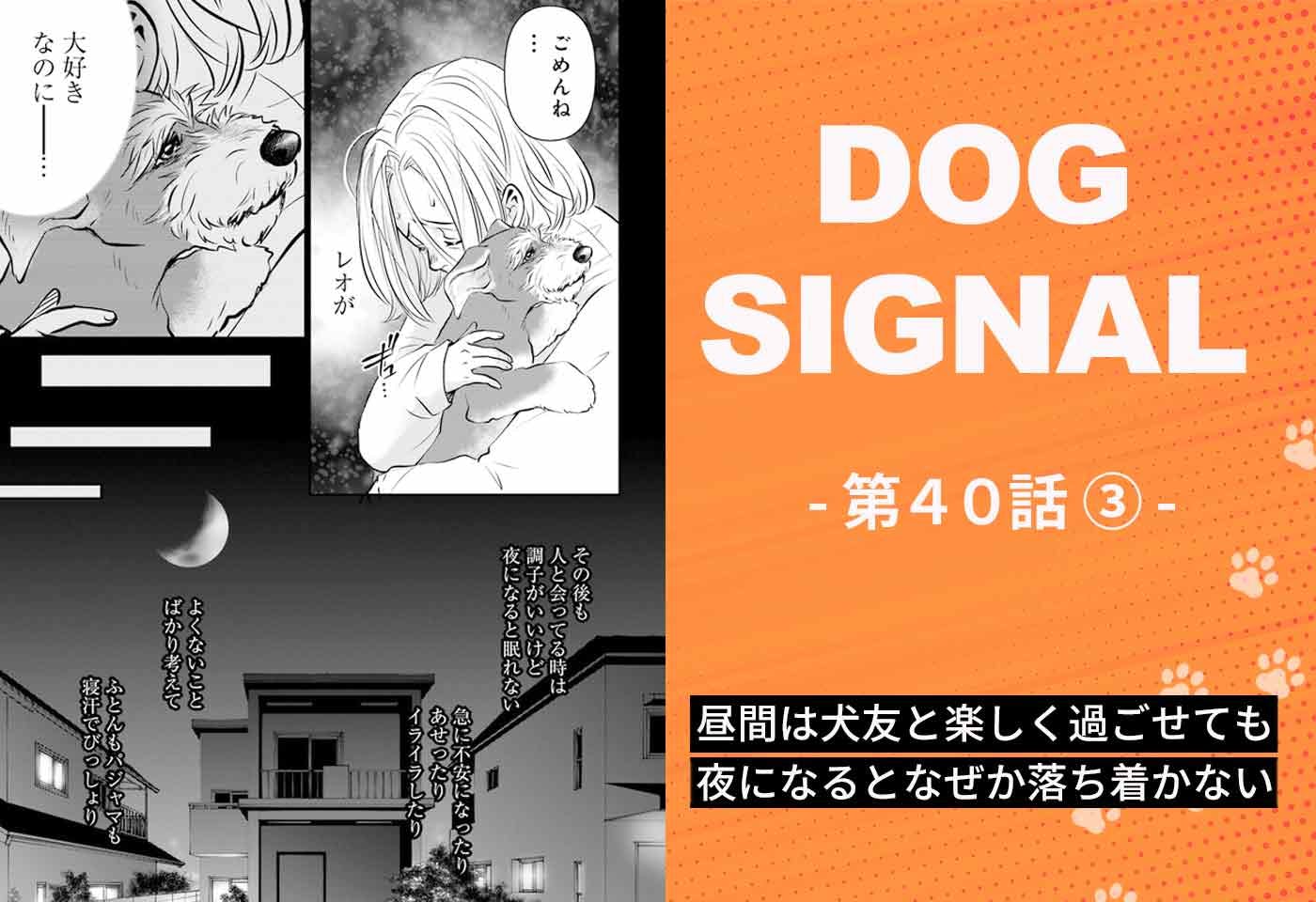 【最新話】『DOG SIGNAL』40話目3/4　昼間は犬友と楽しく過ごせるのに…