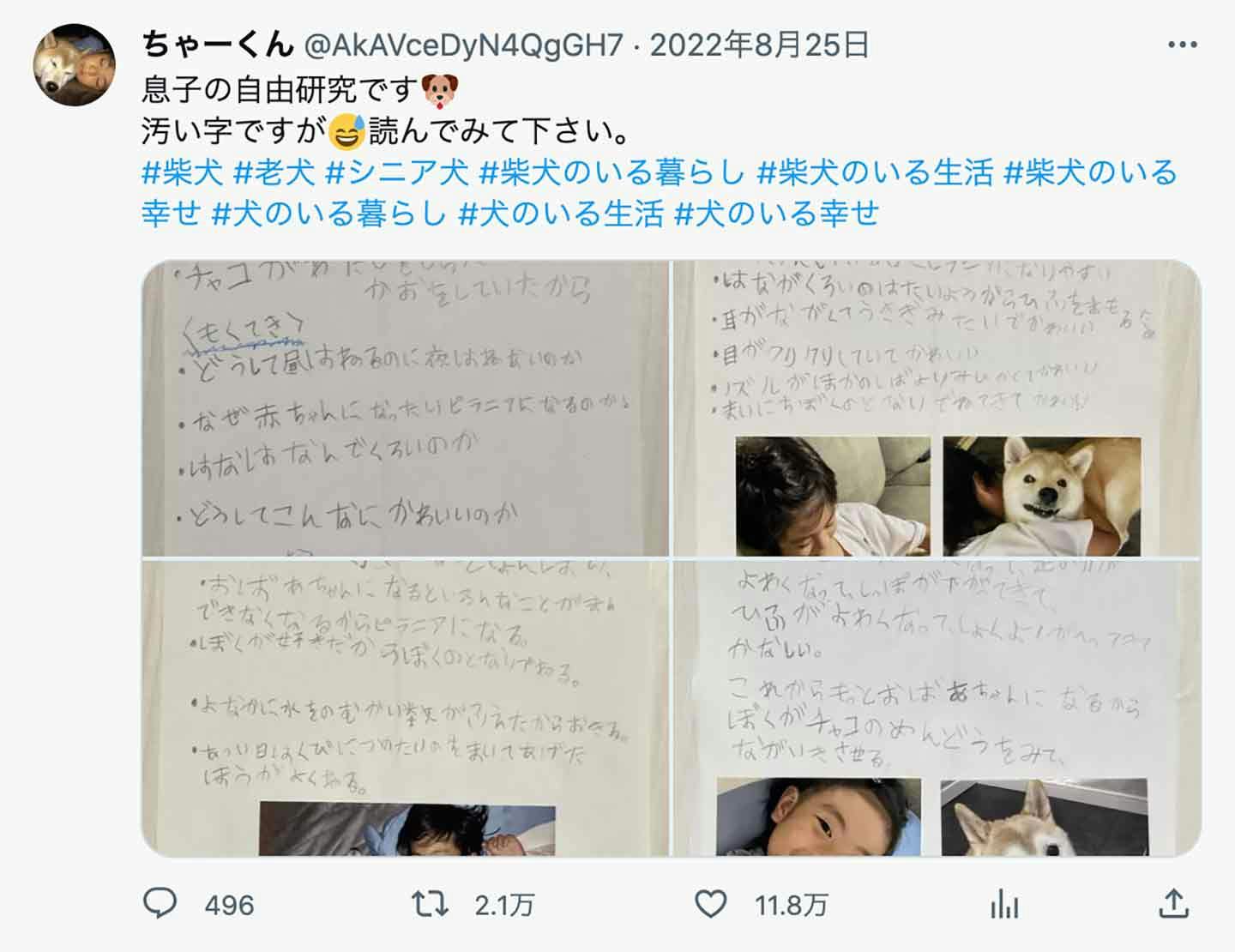 しゅん君の父親がSNSに投稿した、息子の自由研究に反響 しゅん君の父親がSNSに投稿した、息子の自由研究に反響