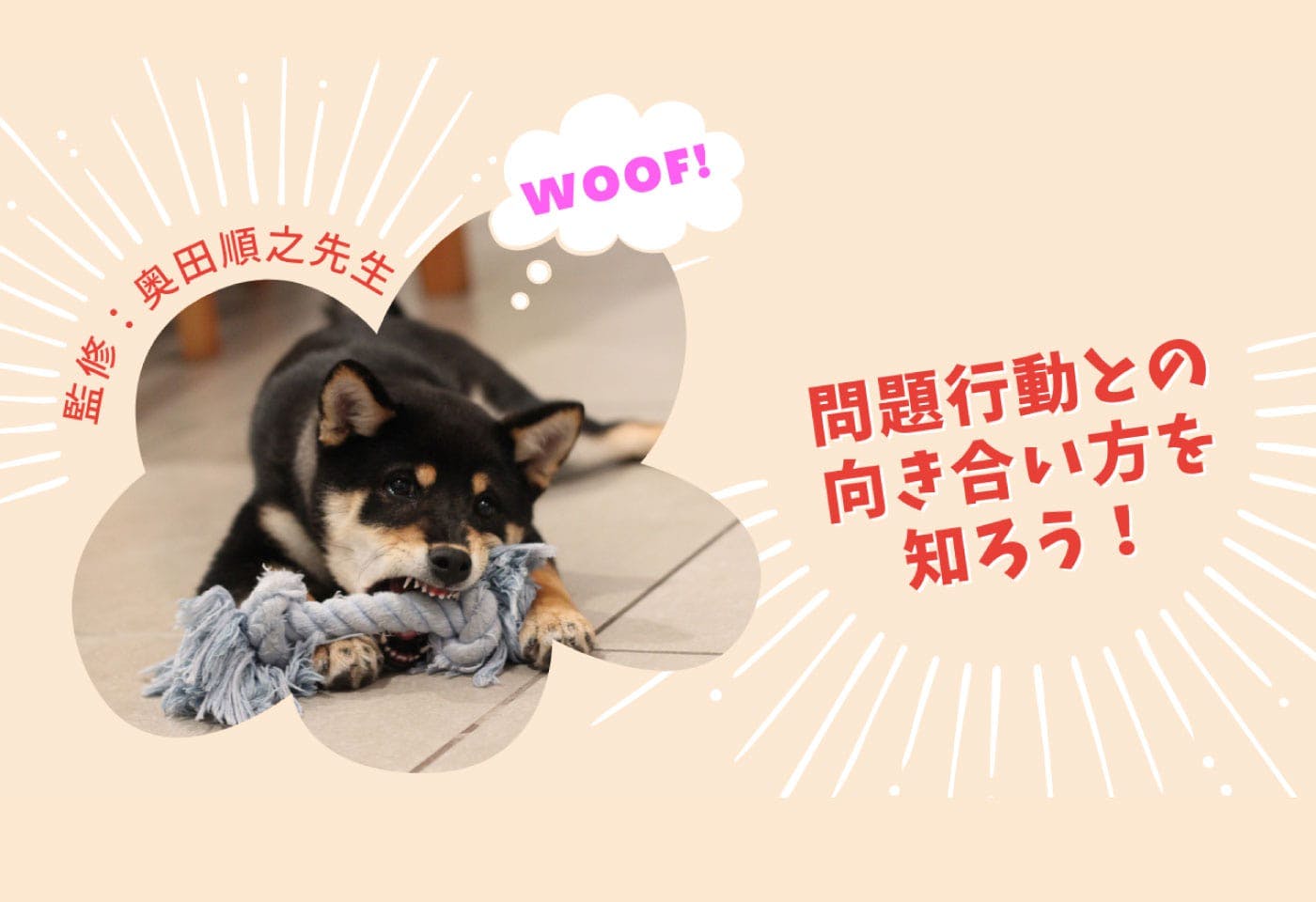 噛む、吠える…それって、犬が問題なの？ 絆を取り戻すための問題行動との向き合い方