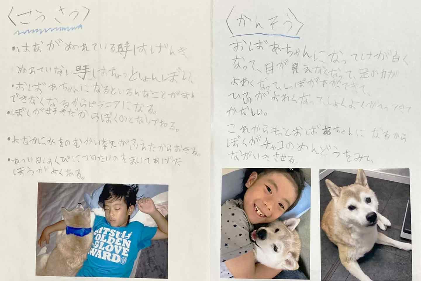 SNSで大反響を呼んだ息子の、愛犬の自由研究