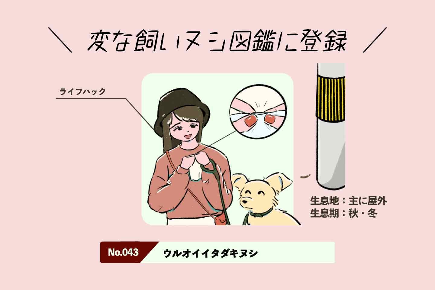 ウルオイイタダキヌシの生態《変な飼いヌシ図鑑043》 ウルオイイタダキヌシの生態《変な飼いヌシ図鑑043》