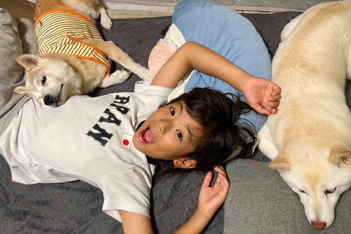 いつも一緒にいる、しゅん君と愛犬たち。チャコちゃん（左）とゴマちゃん（右）