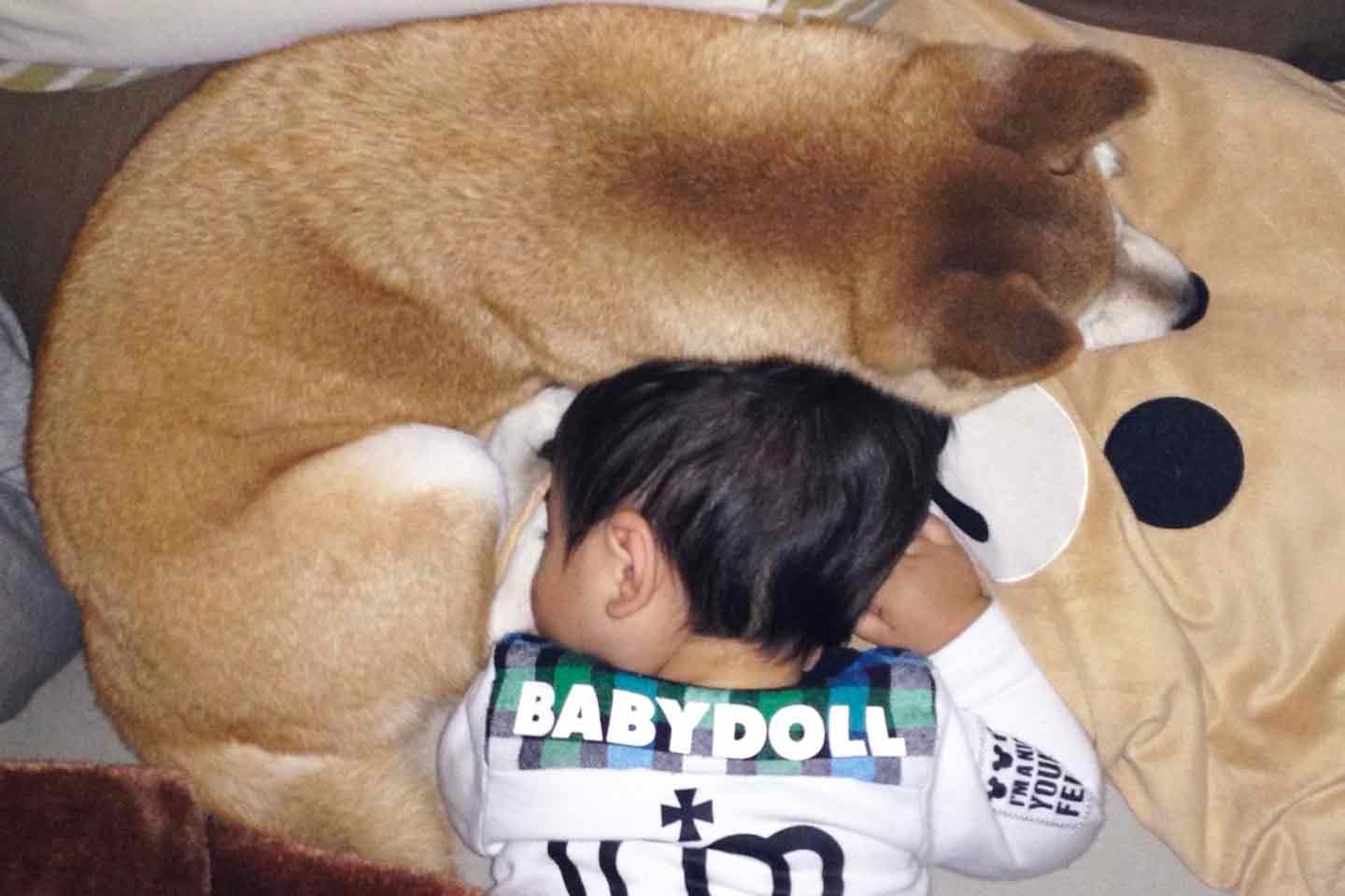 しゅん君を寝かしつける、愛犬チャコちゃん しゅん君を寝かしつける、愛犬チャコちゃん