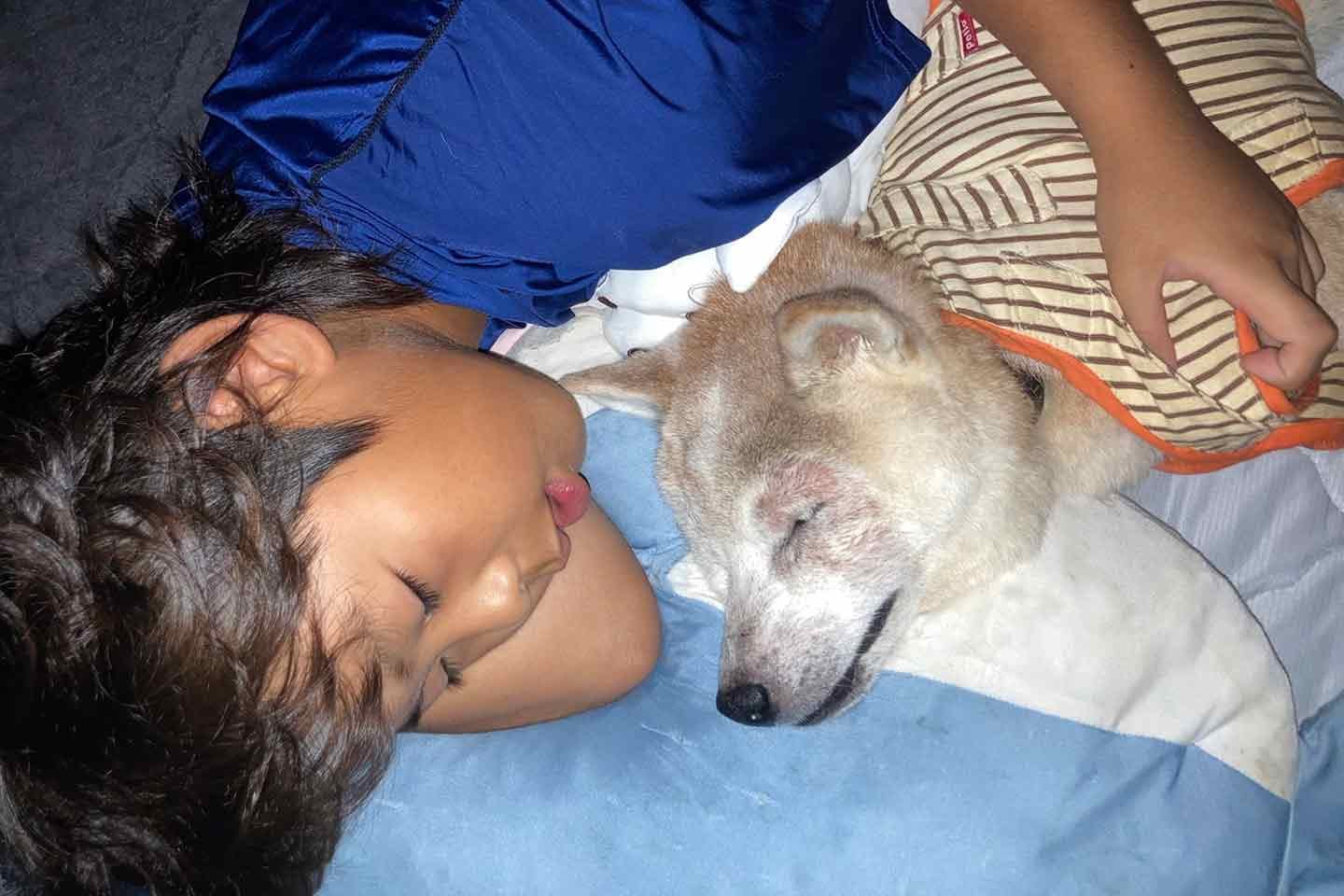 毎日一緒に寝る、しゅん君と愛犬チャコちゃん 毎日一緒に寝る、しゅん君と愛犬チャコちゃん