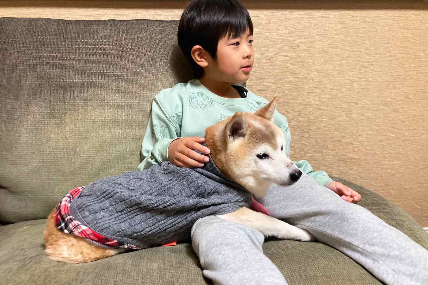 おうちで一緒に過ごすチャコちゃんとしゅん君 おうちで一緒に過ごすチャコちゃんとしゅん君