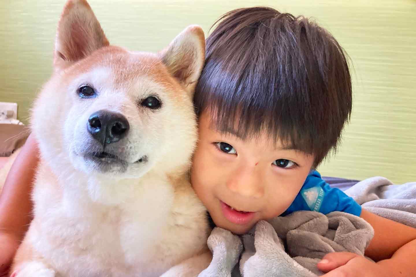 大好きな愛犬・チャコを自由研究の対象にした小学生のしゅん君