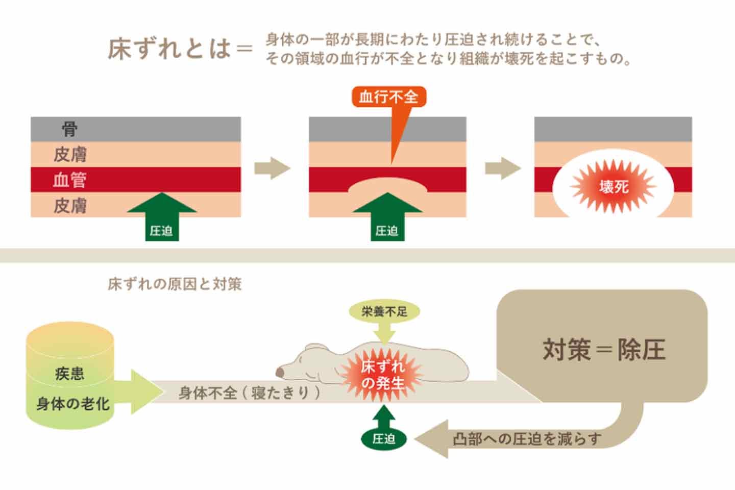 犬の床ずれの原因と対策 犬の床ずれの原因と対策