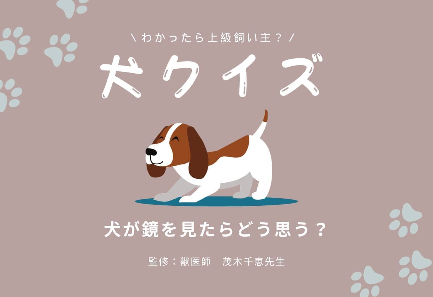 【犬クイズ】犬が鏡を見たら自分ってわかる？