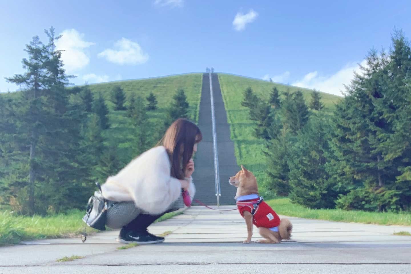 ペットから家族へ。トレーニングで学んだ犬との向き合い方 ペットから家族へ。トレーニングで学んだ犬との向き合い方