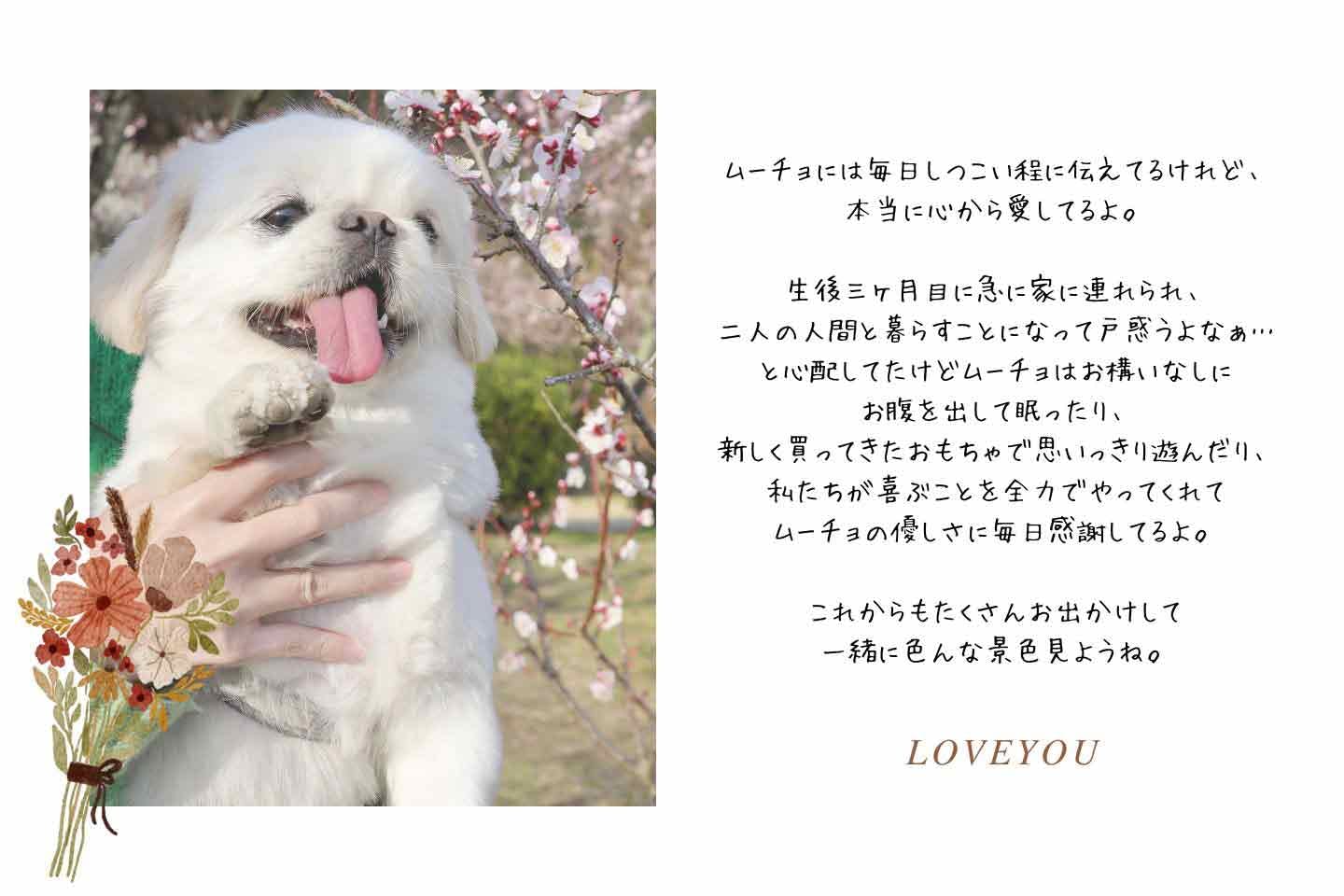 LOVEYOUさんからムーチョちゃんへの感謝のメッセージ LOVEYOUさんからムーチョちゃんへの感謝のメッセージ