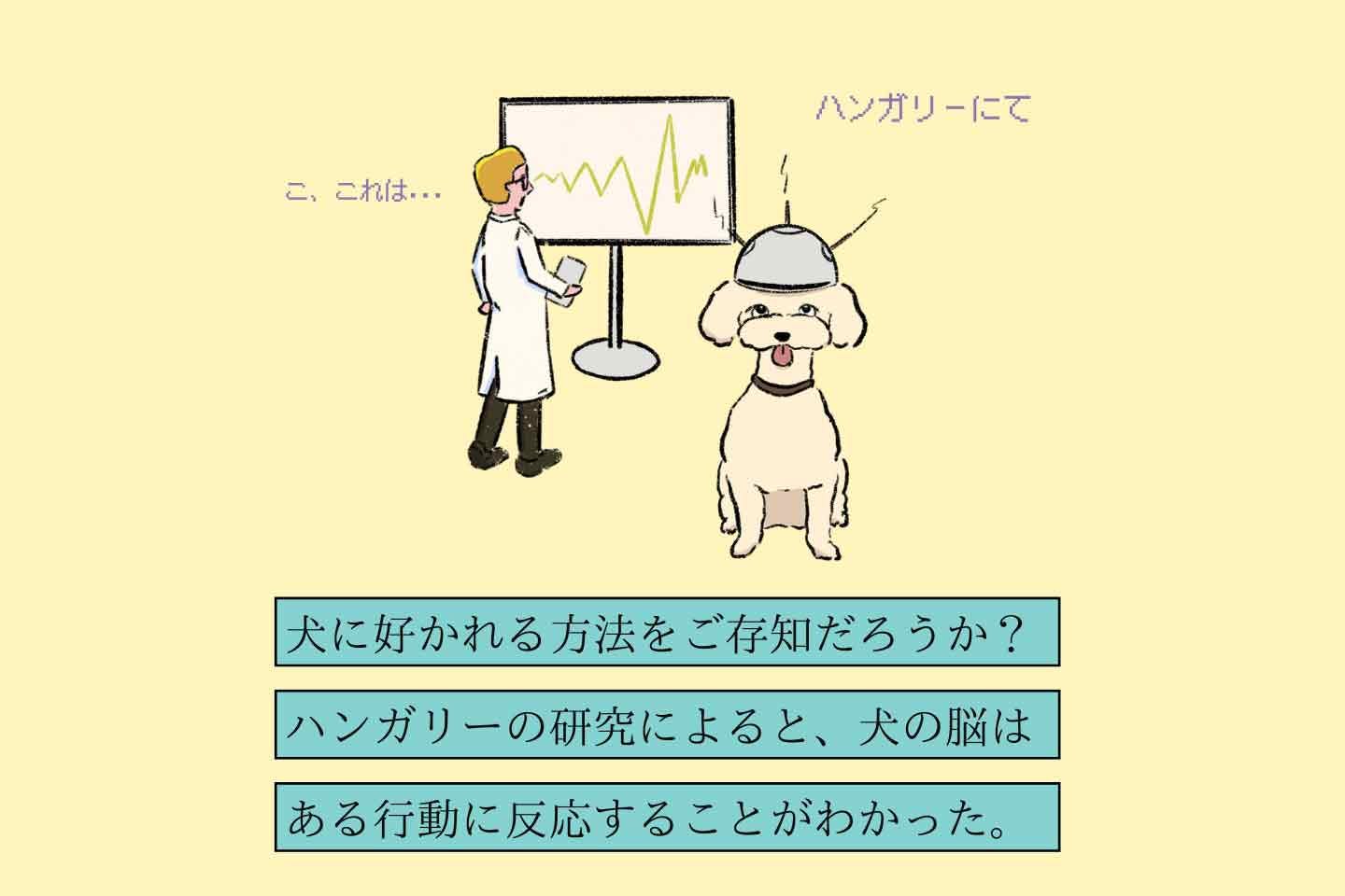 ウルオイイタダキヌシの生態《変な飼いヌシ図鑑043》 トーンアガリヌシの生態《変な飼いヌシ図鑑044》