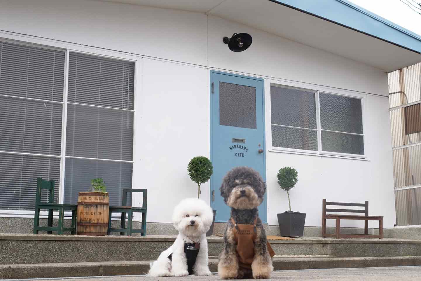 古民家もDIY！ 家全体が、愛犬も映える撮影スポットに