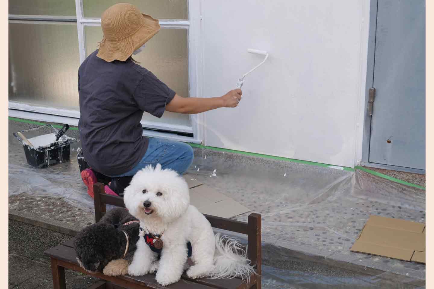愛犬と自宅をリノベーションする奥野さん 愛犬と自宅をリノベーションする奥野さん