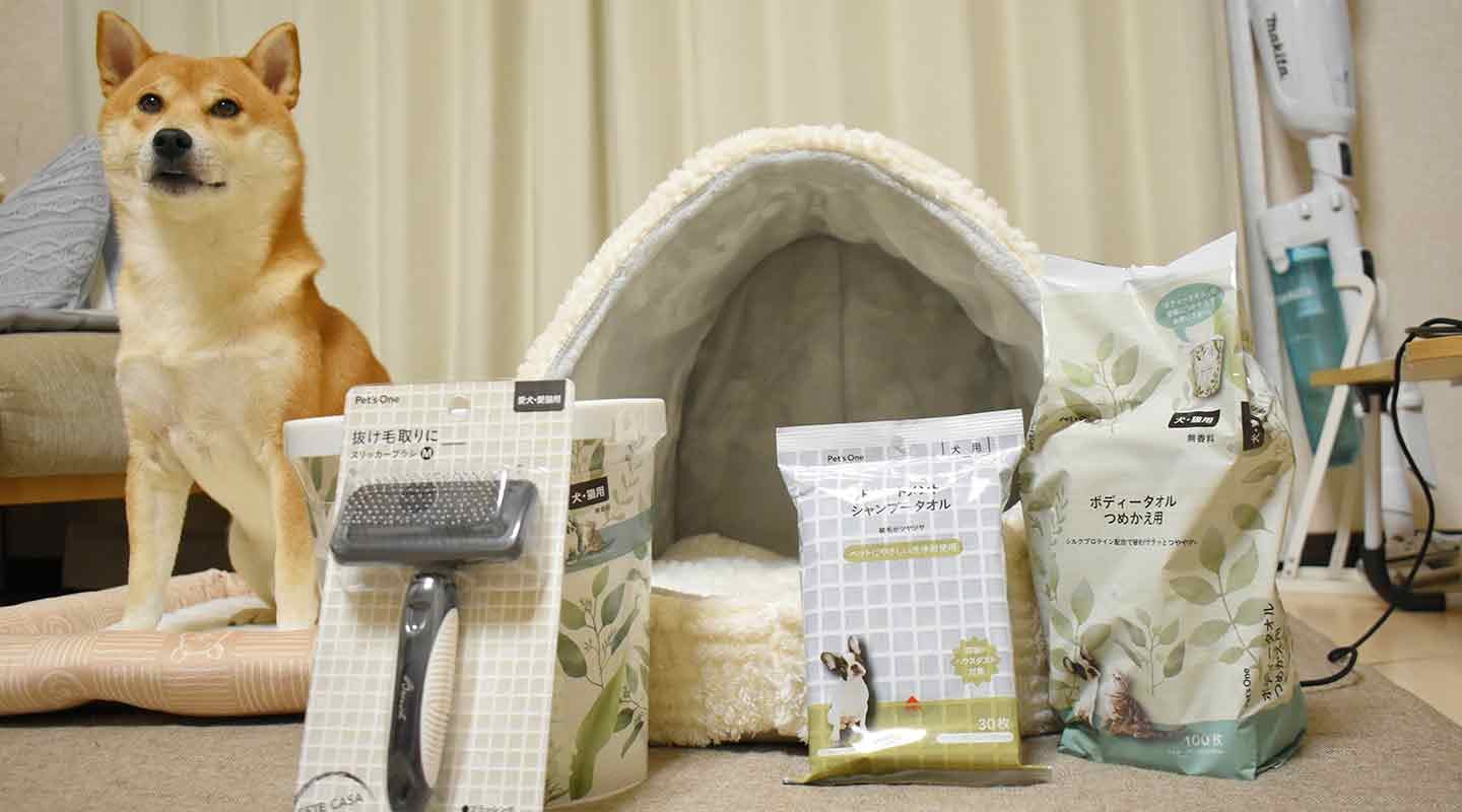 柴犬こむぎがお気に入りのブラシ、散歩帰宅時に必ず使うボディタオル、海に行った時に使うシャンプータオル、ベッドと寝床 こむぎがお気柴犬こむぎがお気に入りのブラシ、散歩帰宅時に必ず使うボディタオル、海に行った時に使うシャンプータオル、ベッドと寝床に入りのブラシ、散歩帰宅時に必ず使うボディタオル、海に行った時に使うシャンプータオル、ベッドと寝床