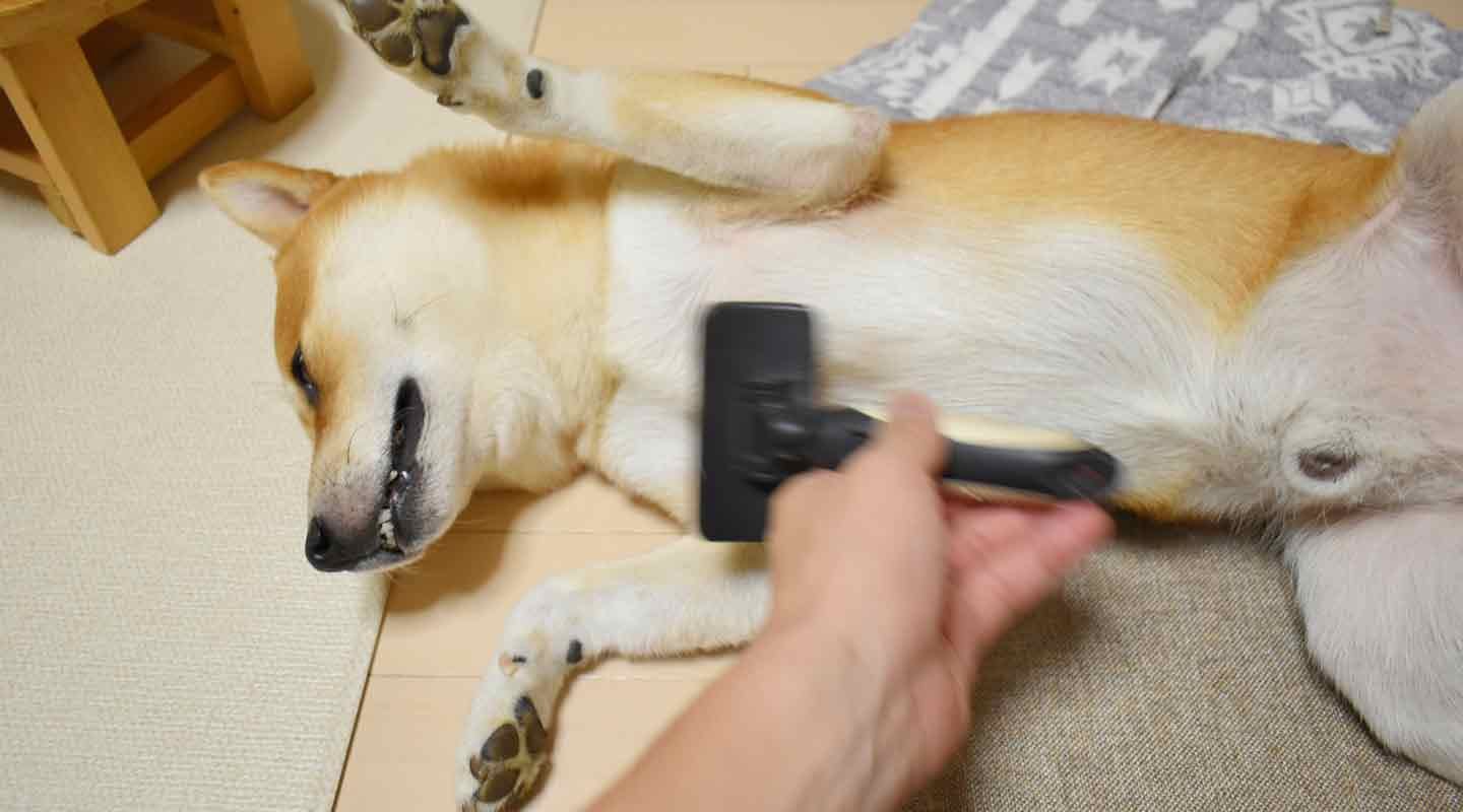 Pet’sOne スリッカーブラシ M Pet’sOne スリッカーブラシ M