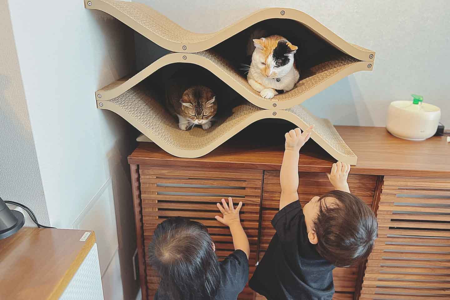 しらすちゃん(右上)とおこめちゃん(左)とオキさんの双子の子ども しらすちゃん(右上)とおこめちゃん(左)とオキさんの双子の子ども