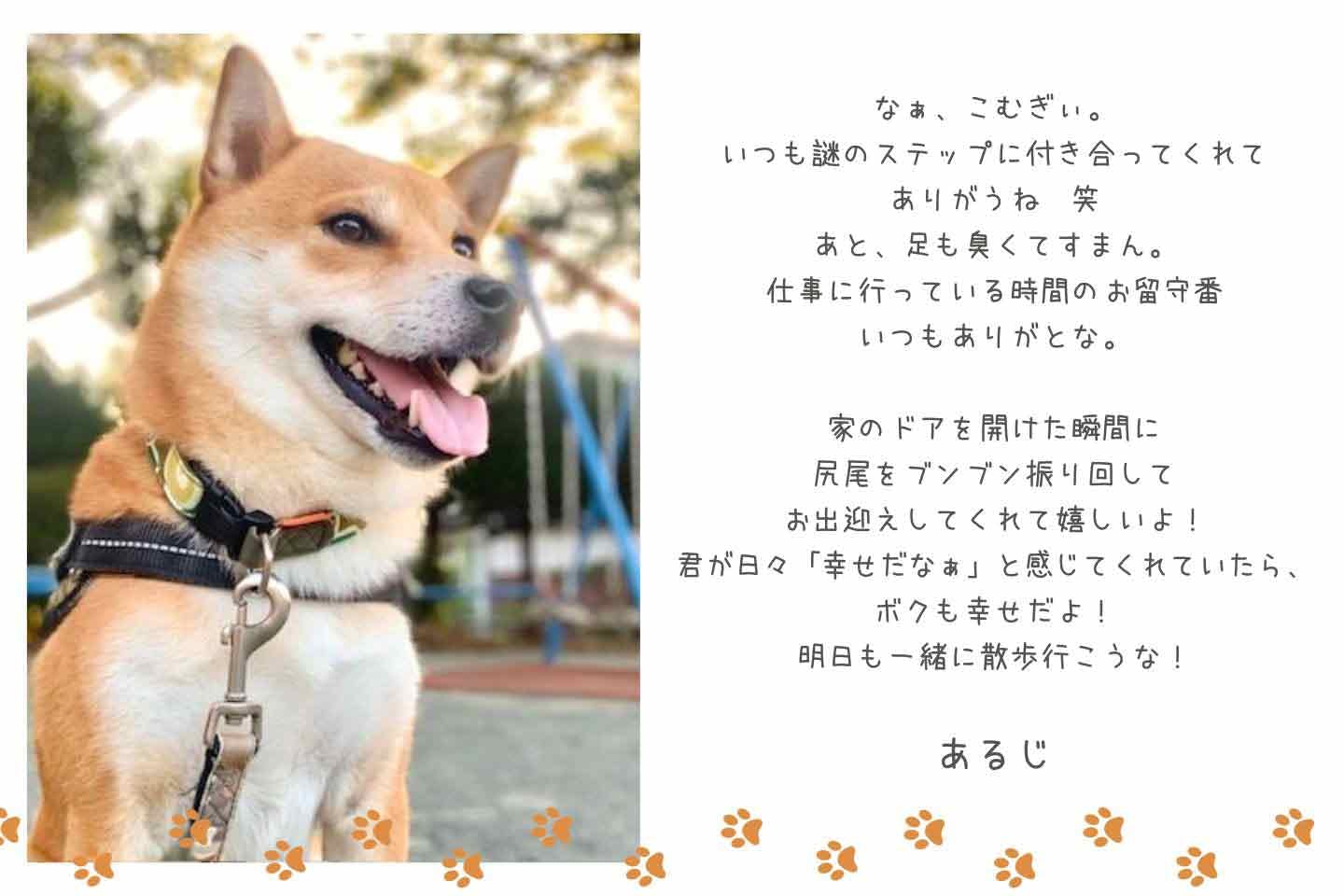 あるじさんからこむぎくんへの感謝のメッセージ あるじさんからこむぎくんへの感謝のメッセージ