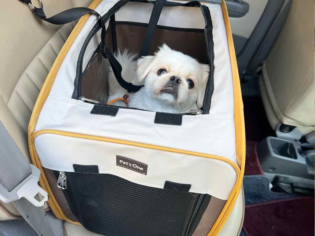 Pet’sOne ツイストペットケージ M ペキニーズ ムーチョ Pet’sOne ツイストペットケージ M ペキニーズ ムーチョ