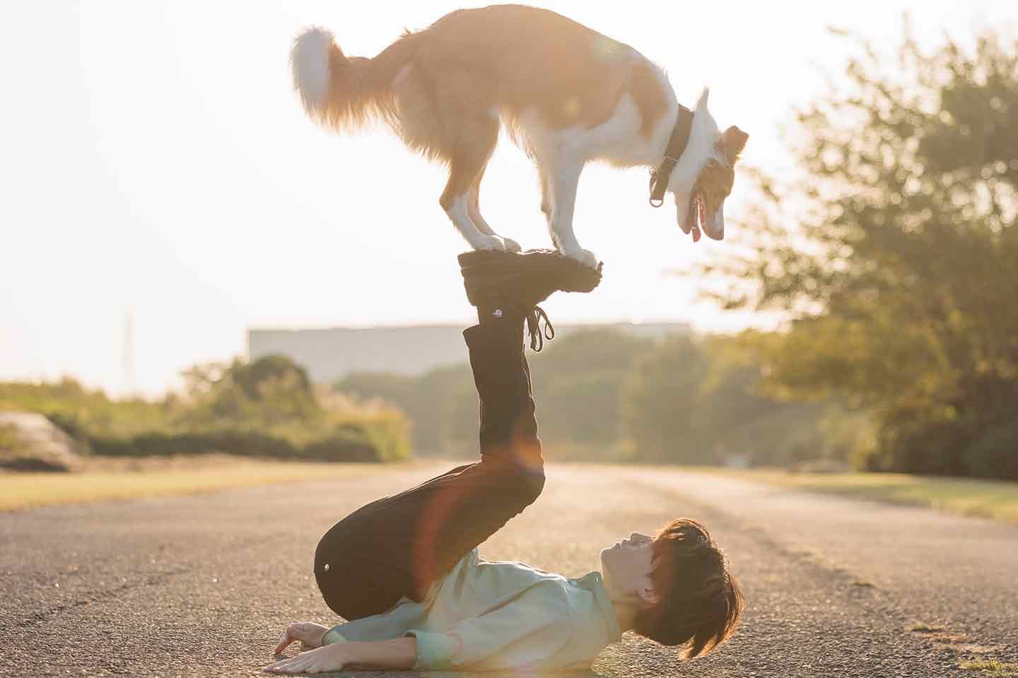 「愛犬を信じる」60以上のトリックをこなす息ぴったりのボーダーコリー・ラスカルくんと飼い主