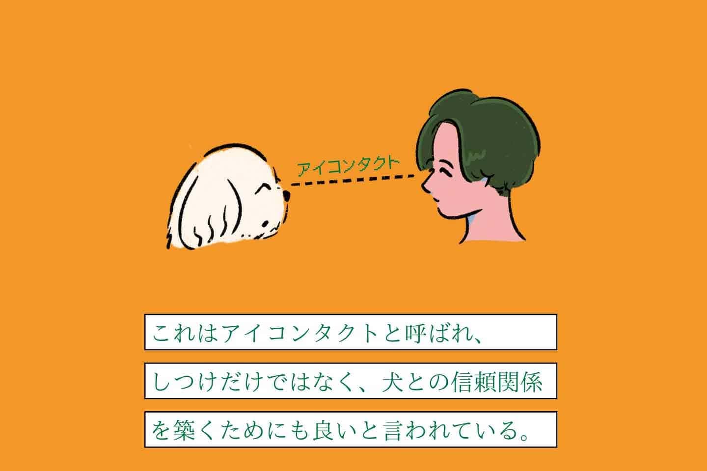 変な飼いヌシ図鑑No.045】 愛犬と目が合うと無言でうなずく 変な飼いヌシ図鑑No.045】 愛犬と目が合うと無言でうなずく