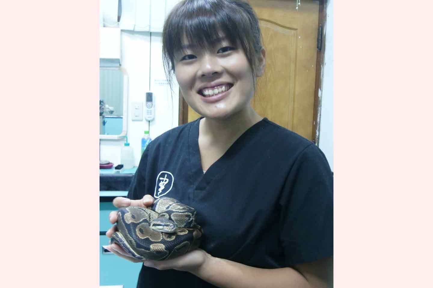 大学五年生で台湾の獣医大学で実習