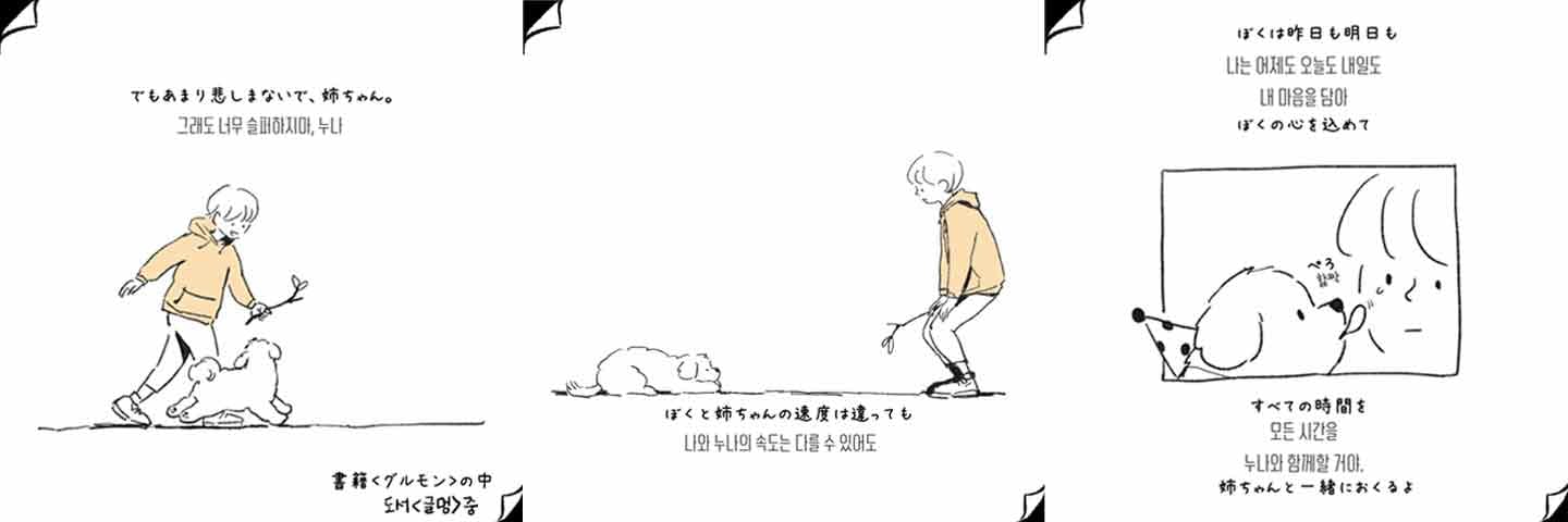 愛犬ムンゲくんとの日常を描いた漫画