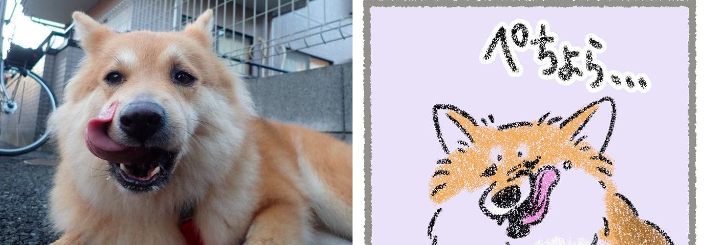 もなかちゃんとさかぐちさんの描く「ペちょら」顔のもなかちゃん もなかちゃんとさかぐちさんの描く「ペちょら」顔のもなかちゃん